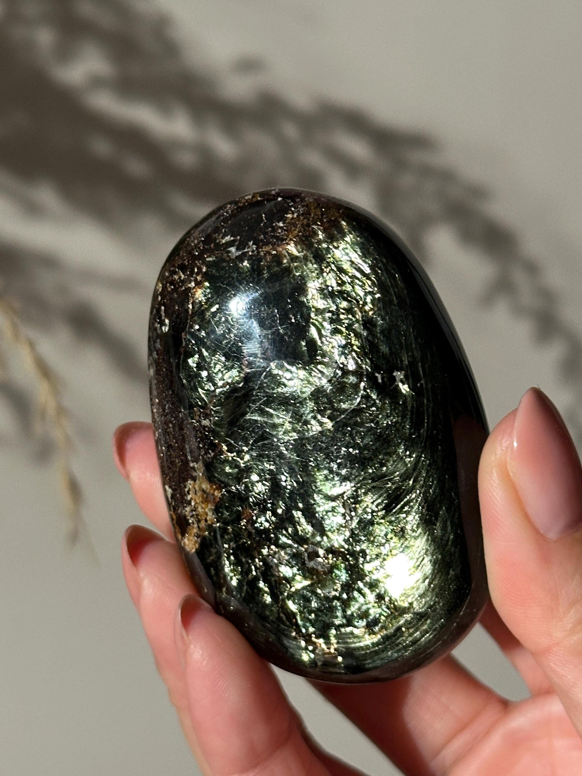 Rare Large Tetraphlogopite Palm Stone Russian Mineral Specimen #1