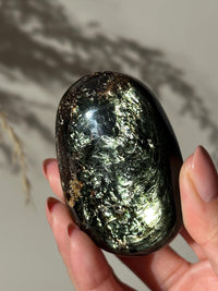 Rare Large Tetraphlogopite Palm Stone Russian Mineral Specimen #1