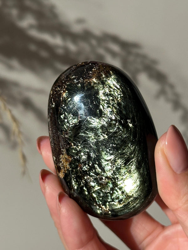 Rare Large Tetraphlogopite Palm Stone Russian Mineral Specimen #1