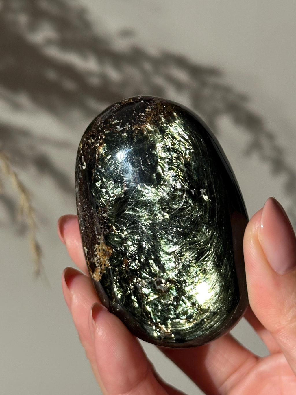 Rare Large Tetraphlogopite Palm Stone Russian Mineral Specimen #1