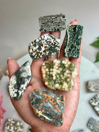 Ocean Jasper Pocket Slice: OJ Orbicular Jasper, Collectible Quality