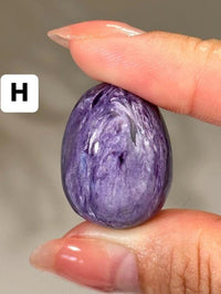Cute Charoite Egg Palmstone High Quality Purple Charoite Pocket Stone from Russia Crystal Egg for Gifting and Meditation