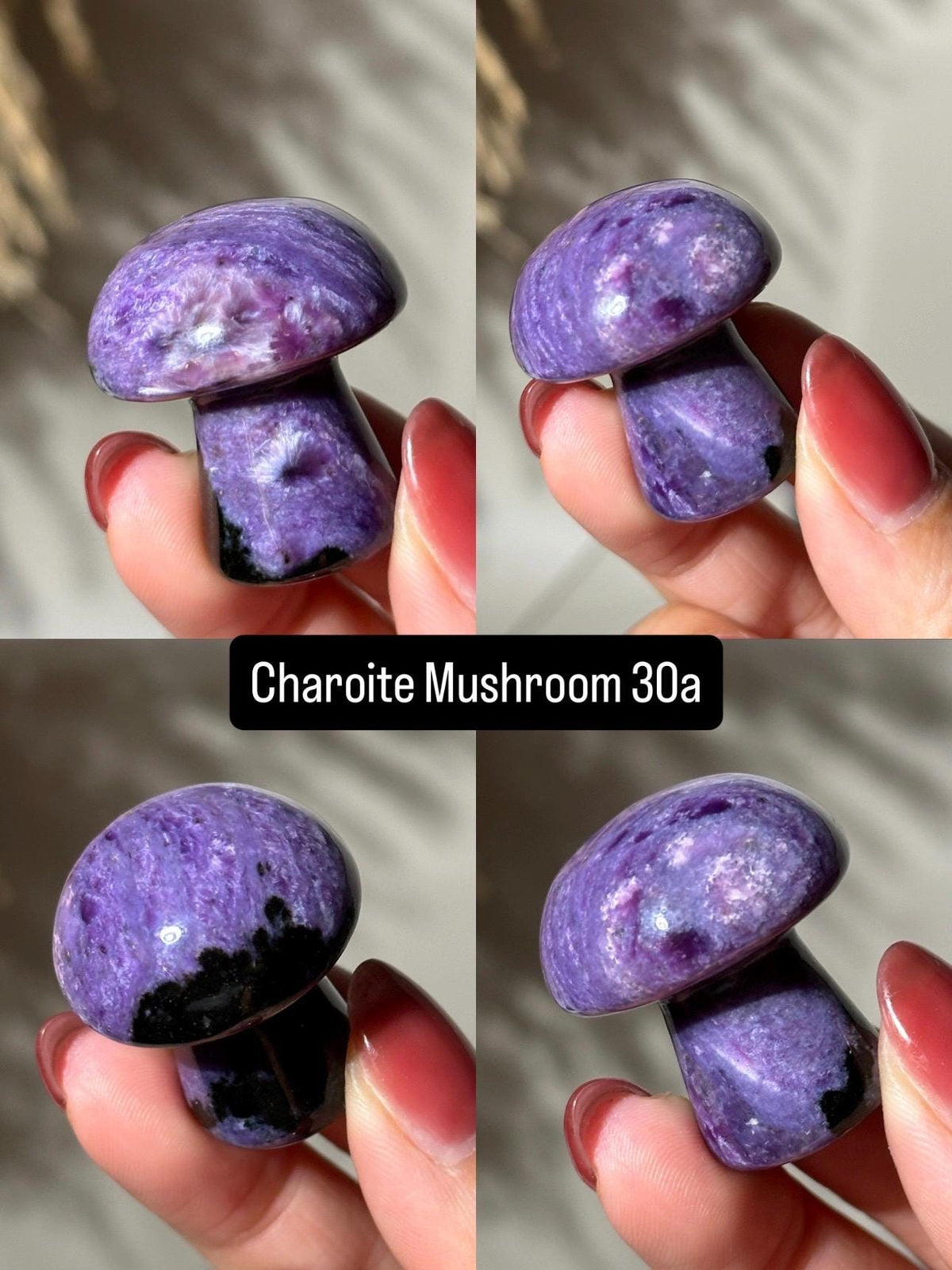 Charoite Mushroom Carving 1.25” | Rare Purple Crystal from Russia | Collectible Stone, Healing Gift, Crystal Decor