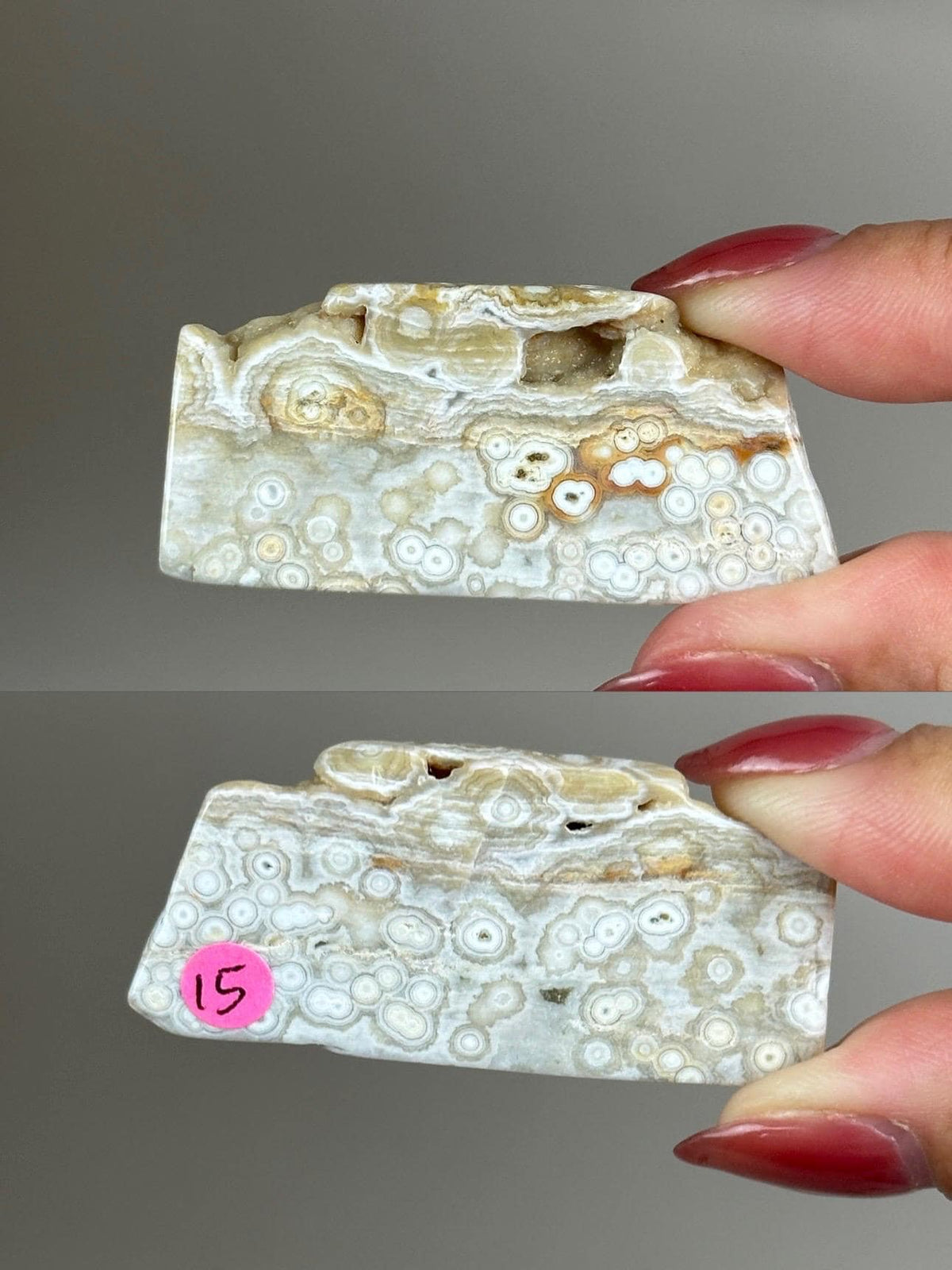 Ocean Jasper Pocket Slice: OJ Orbicular Jasper, Collectible Quality