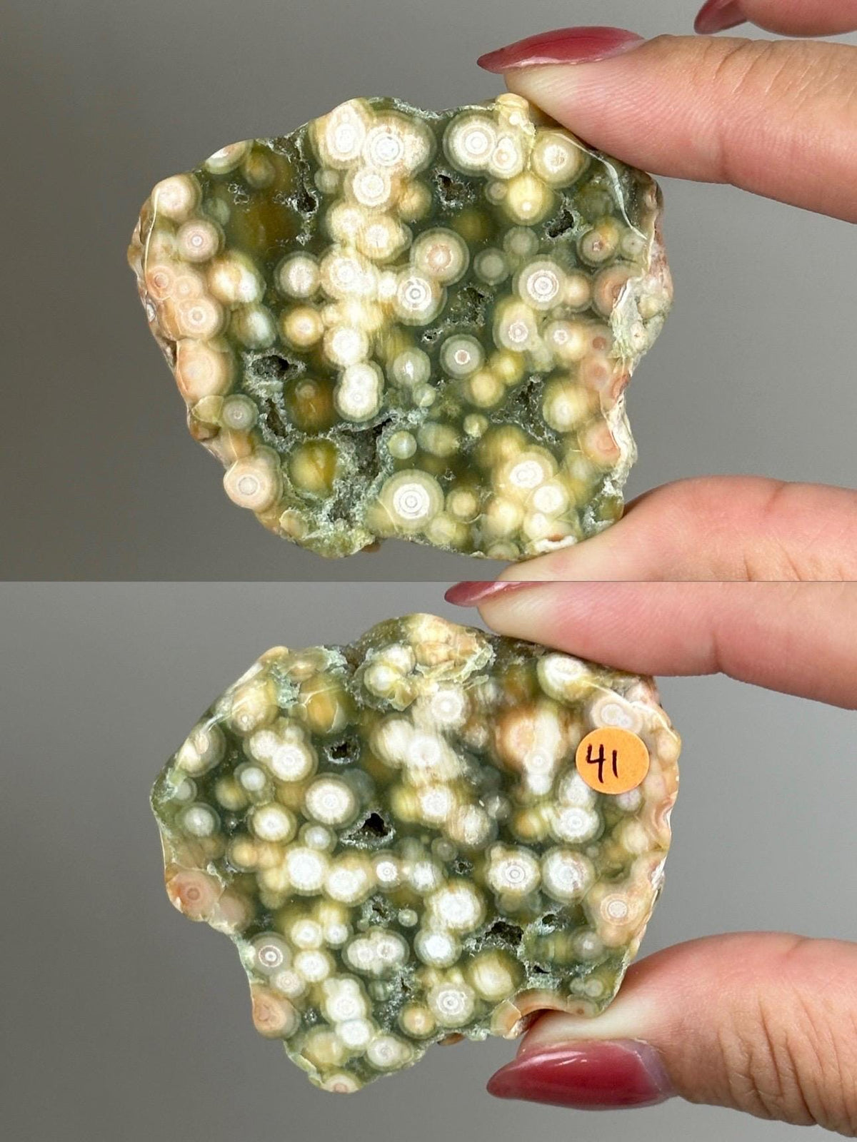 Ocean Jasper Pocket Slice: OJ Orbicular Jasper, Collectible Quality