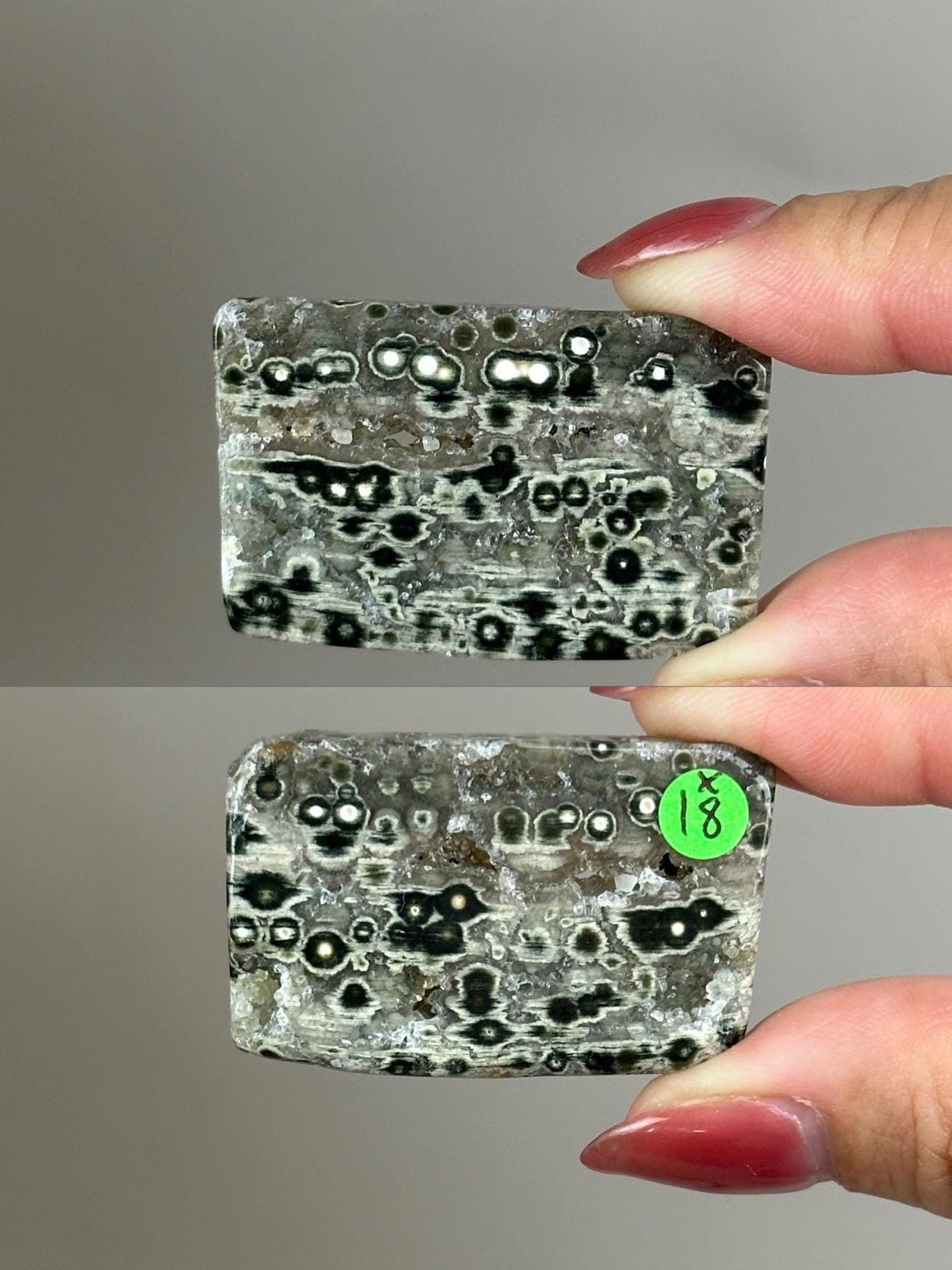 Ocean Jasper Pocket Slice: OJ Orbicular Jasper, Collectible Quality