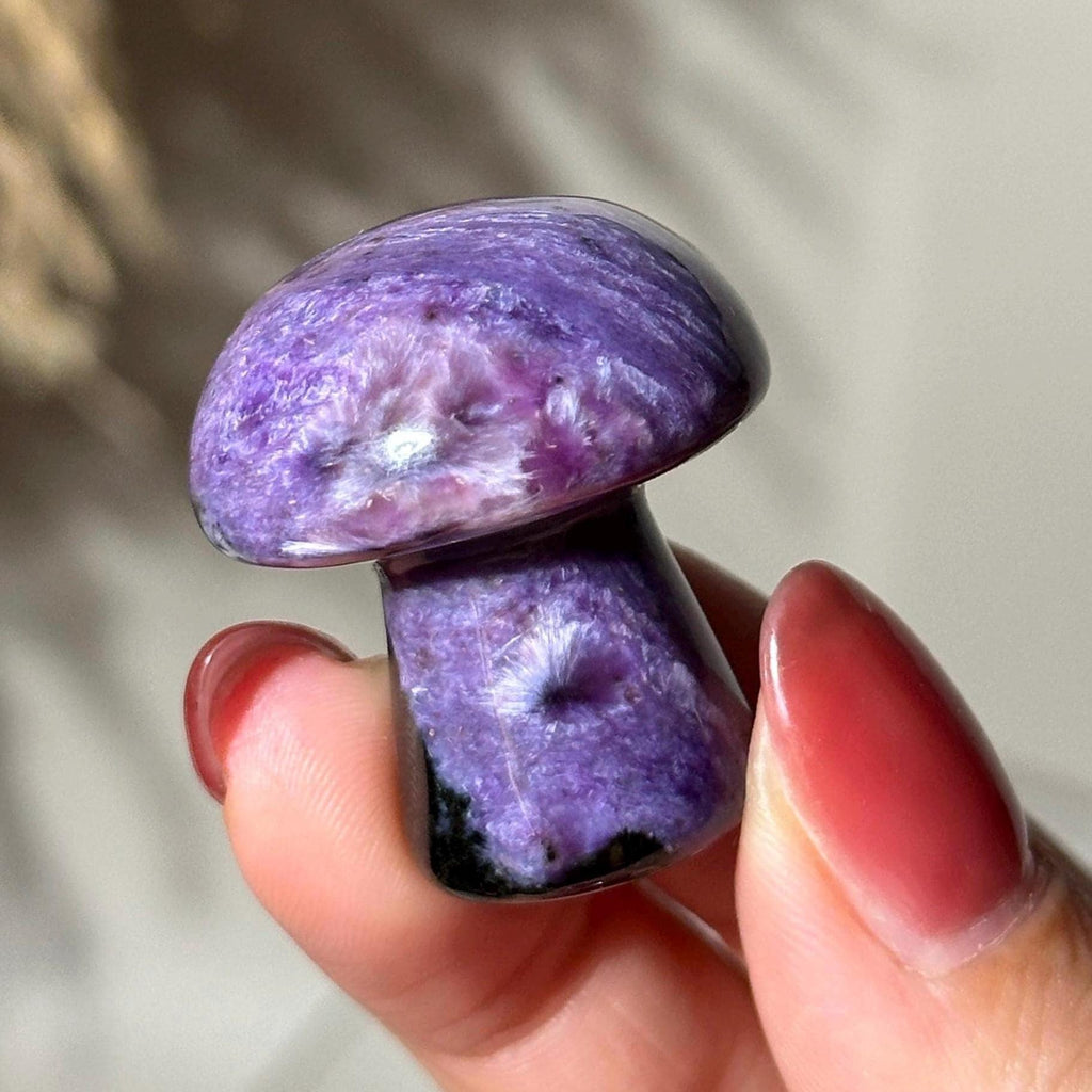 Charoite Mushroom Carving 1.25” | Rare Purple Crystal from Russia | Collectible Stone, Healing Gift, Crystal Decor