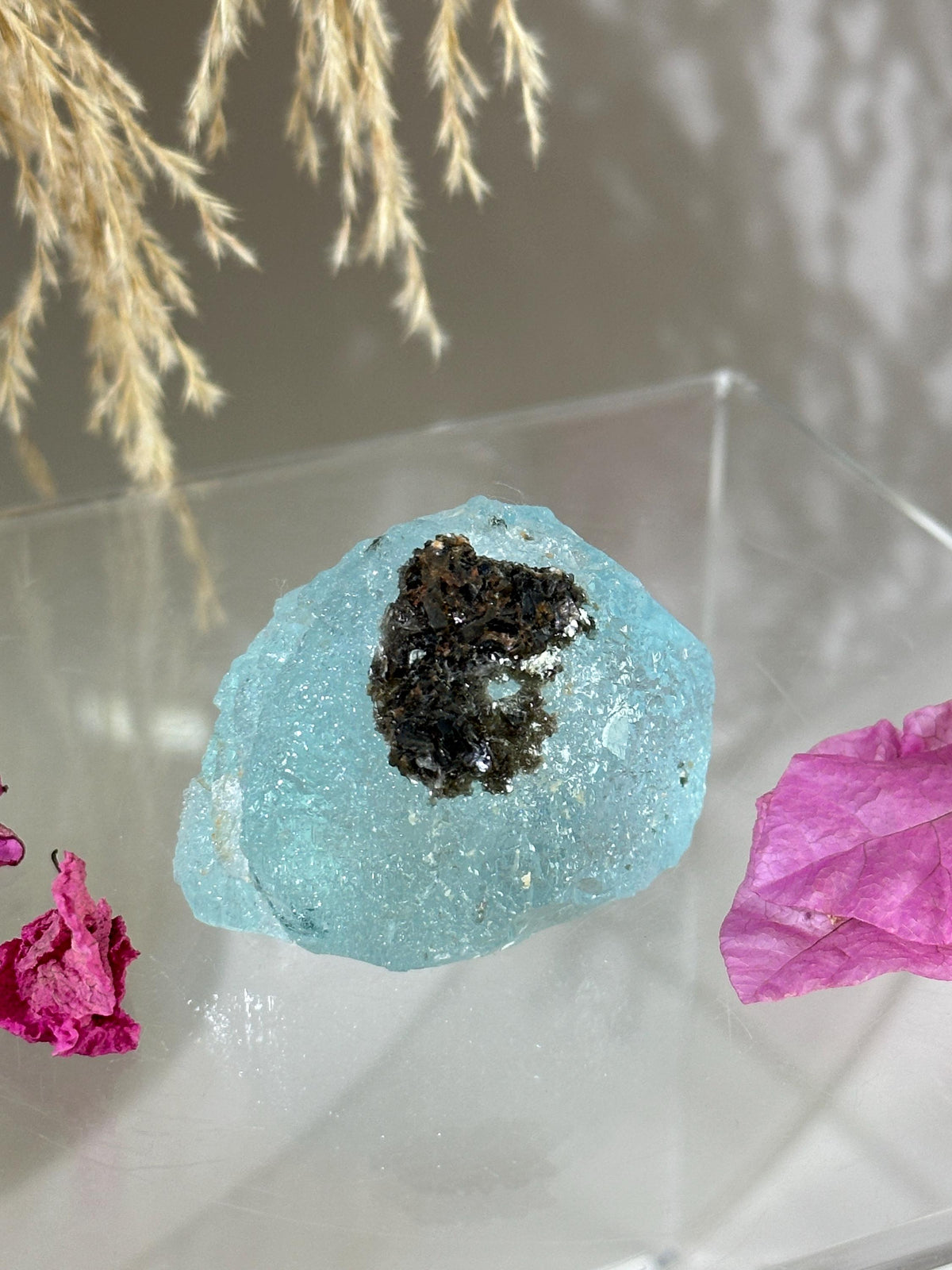 Gemmy Blue Topaz Mineral Specimen with Muscovite, Padre Paraiso, Brazil Crystal | Crystal Collector Home Decor #2