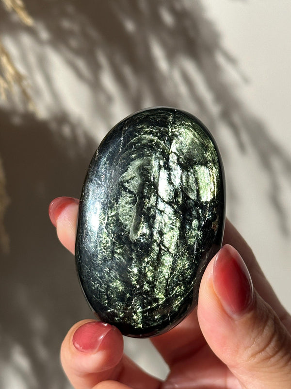 Rare Tetraphlogopite Palm Stone Russian Mineral Specimen #3