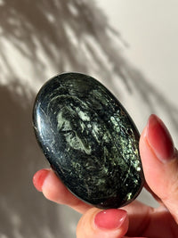 Rare Tetraphlogopite Palm Stone Russian Mineral Specimen #3