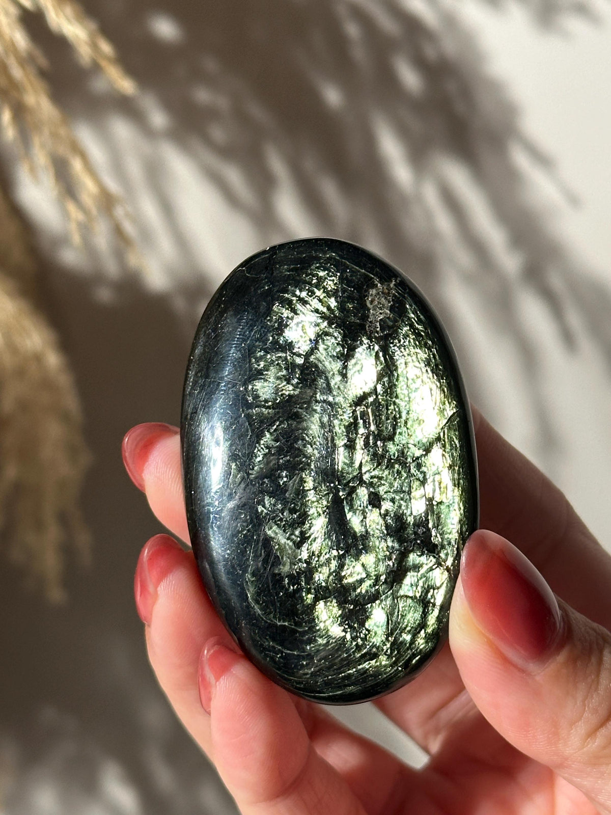 Rare Tetraphlogopite Palm Stone Russian Mineral Specimen #3