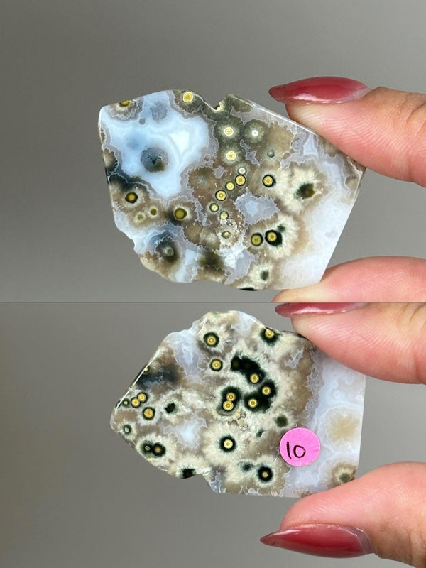 Ocean Jasper Pocket Slice: OJ Orbicular Jasper, Collectible Quality