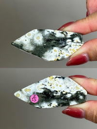 Ocean Jasper Pocket Slice: OJ Orbicular Jasper, Collectible Quality