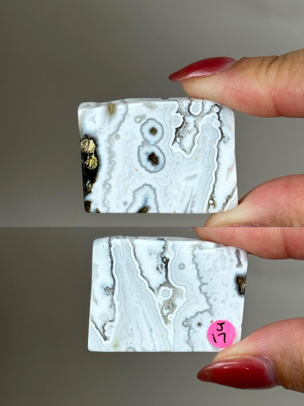 Ocean Jasper Pocket Slice: OJ Orbicular Jasper, Collectible Quality