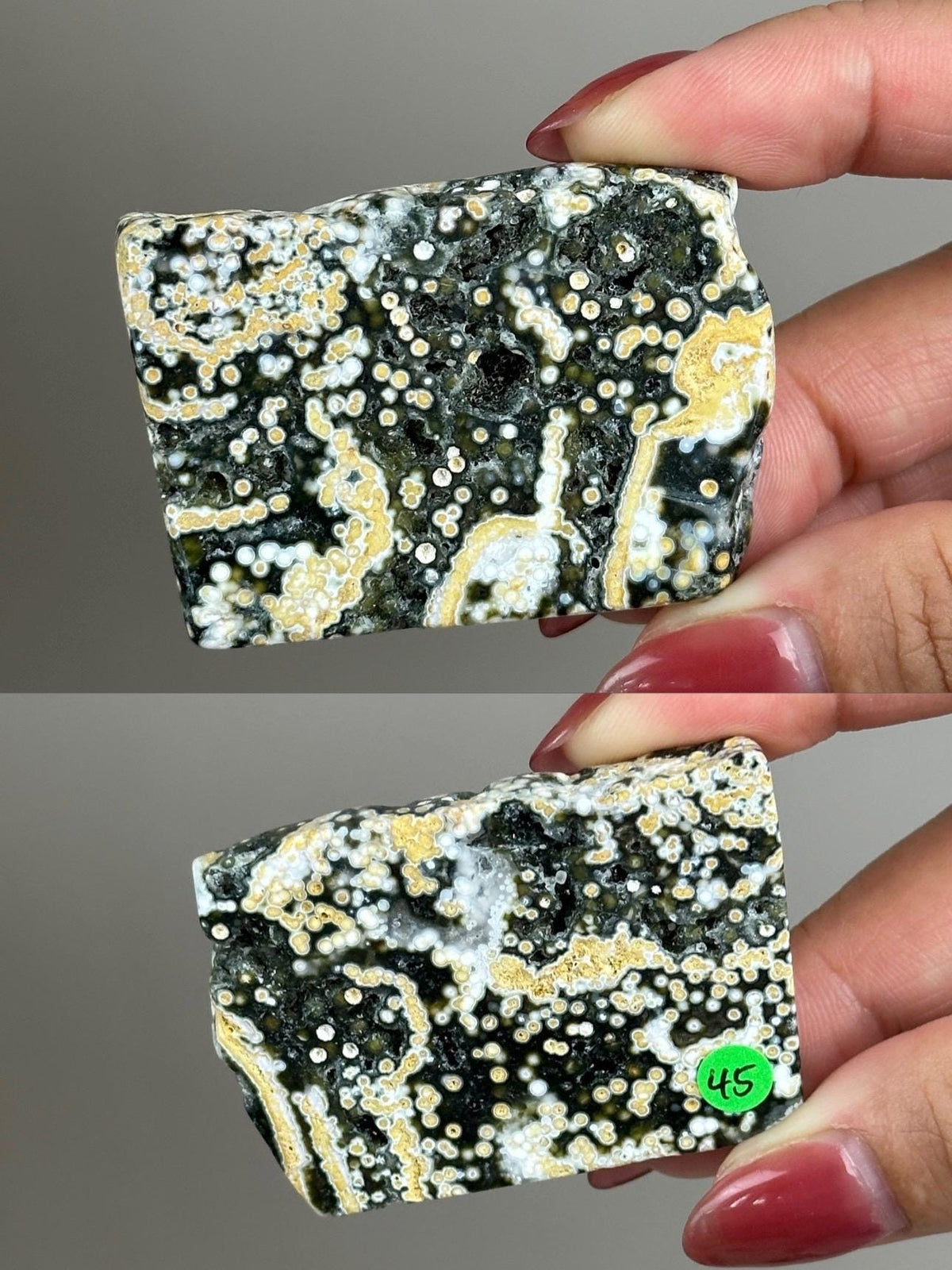 Ocean Jasper Pocket Slice: OJ Orbicular Jasper, Collectible Quality