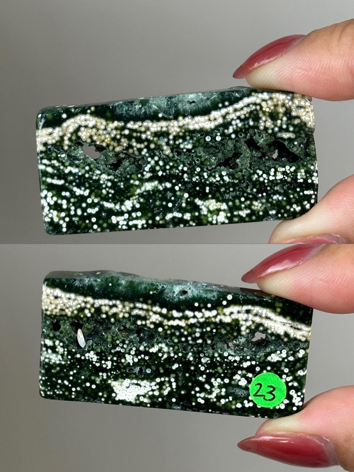 Ocean Jasper Pocket Slice: OJ Orbicular Jasper, Collectible Quality