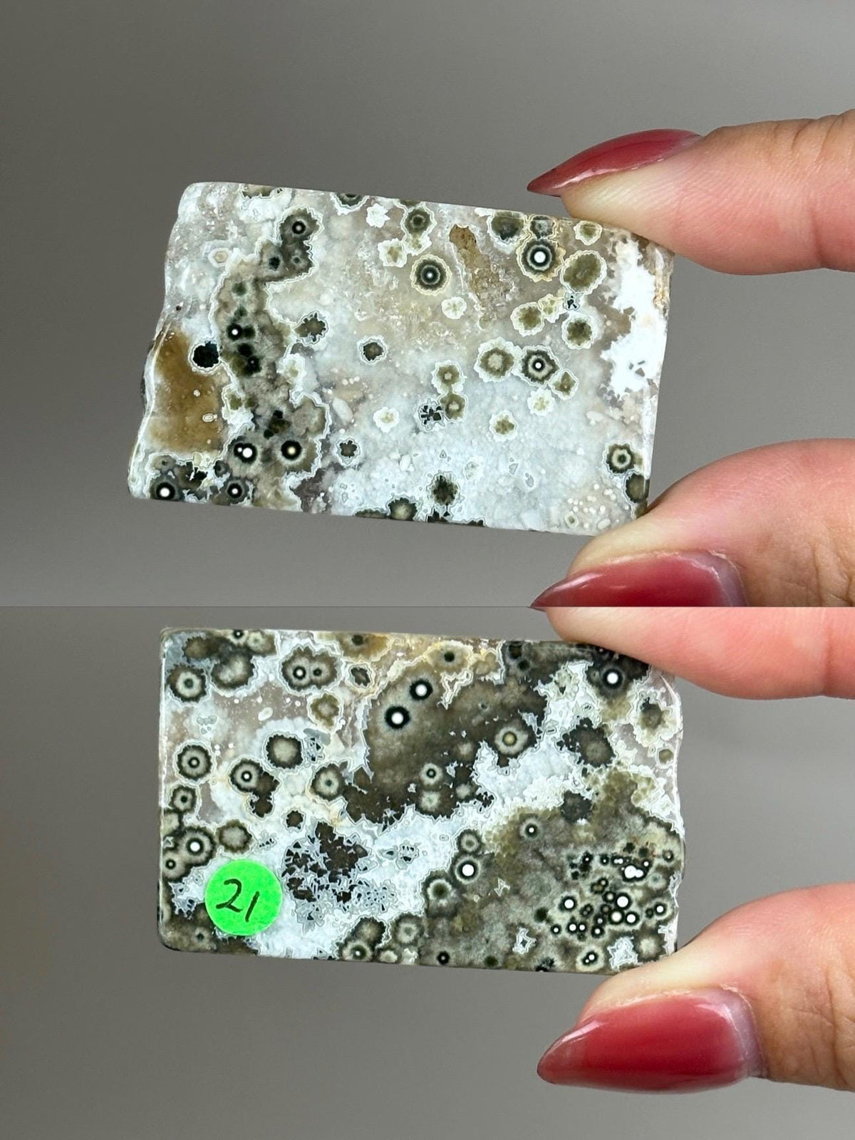 Ocean Jasper Pocket Slice: OJ Orbicular Jasper, Collectible Quality