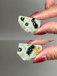 Ocean Jasper Pocket Slice: OJ Orbicular Jasper, Collectible Quality