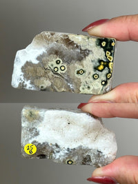 Ocean Jasper Pocket Slice: OJ Orbicular Jasper, Collectible Quality