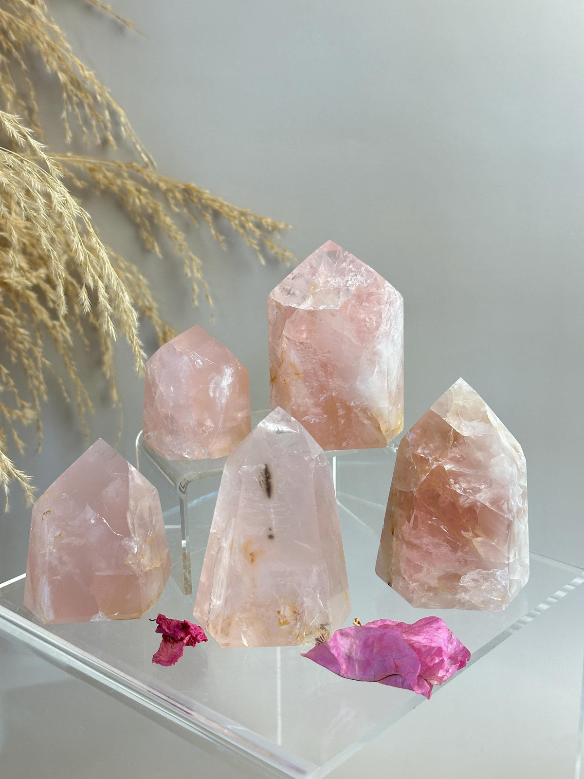 Rose Quartz with Golden Healer Tower | Brazil