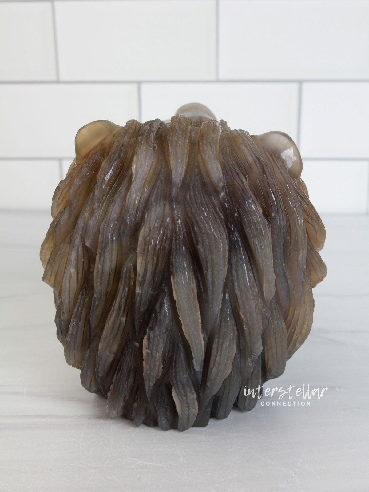 LEO - Druzy Agate Geode LION Head Carving - InterstellarHawaii