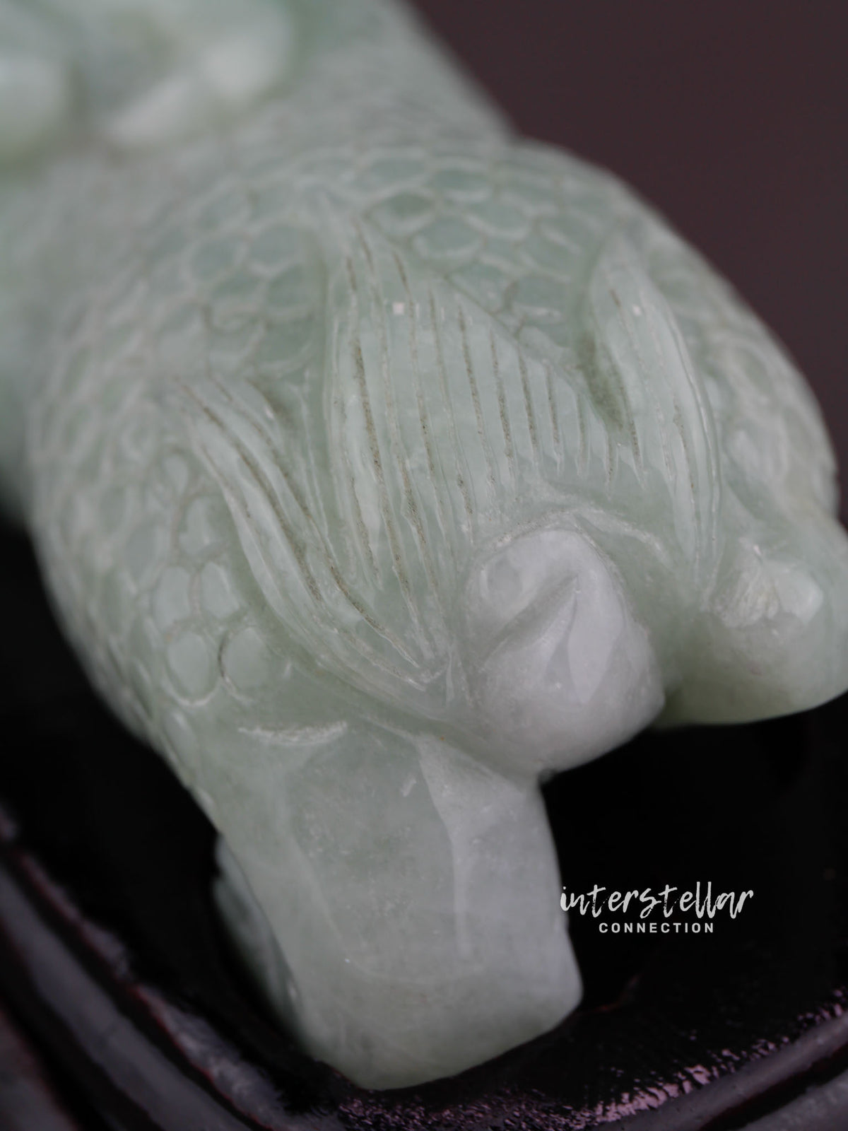 Burmese Jade Chinese Guardian Lion Carving 100% Natural #J22