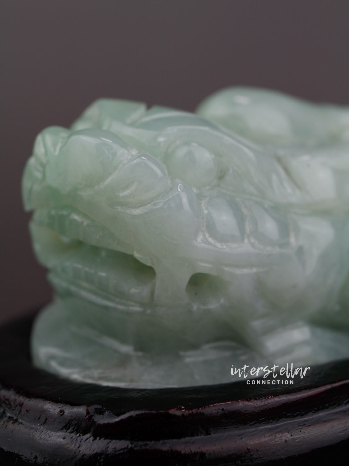 Burmese Jade Chinese Guardian Lion Carving 100% Natural #J22