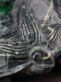 Burmese Jade Dragon Turtle Carving 100% Natural #J40