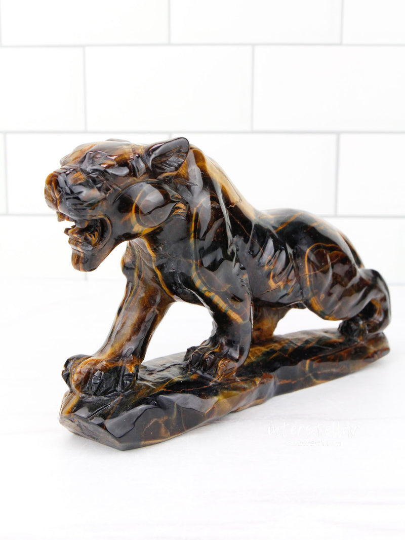 JAGUAR Full Body Tiger's Eye G