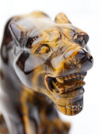 JAGUAR Full Body Tiger's Eye F