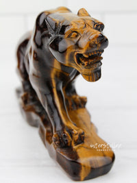 JAGUAR Full Body Tiger's Eye F