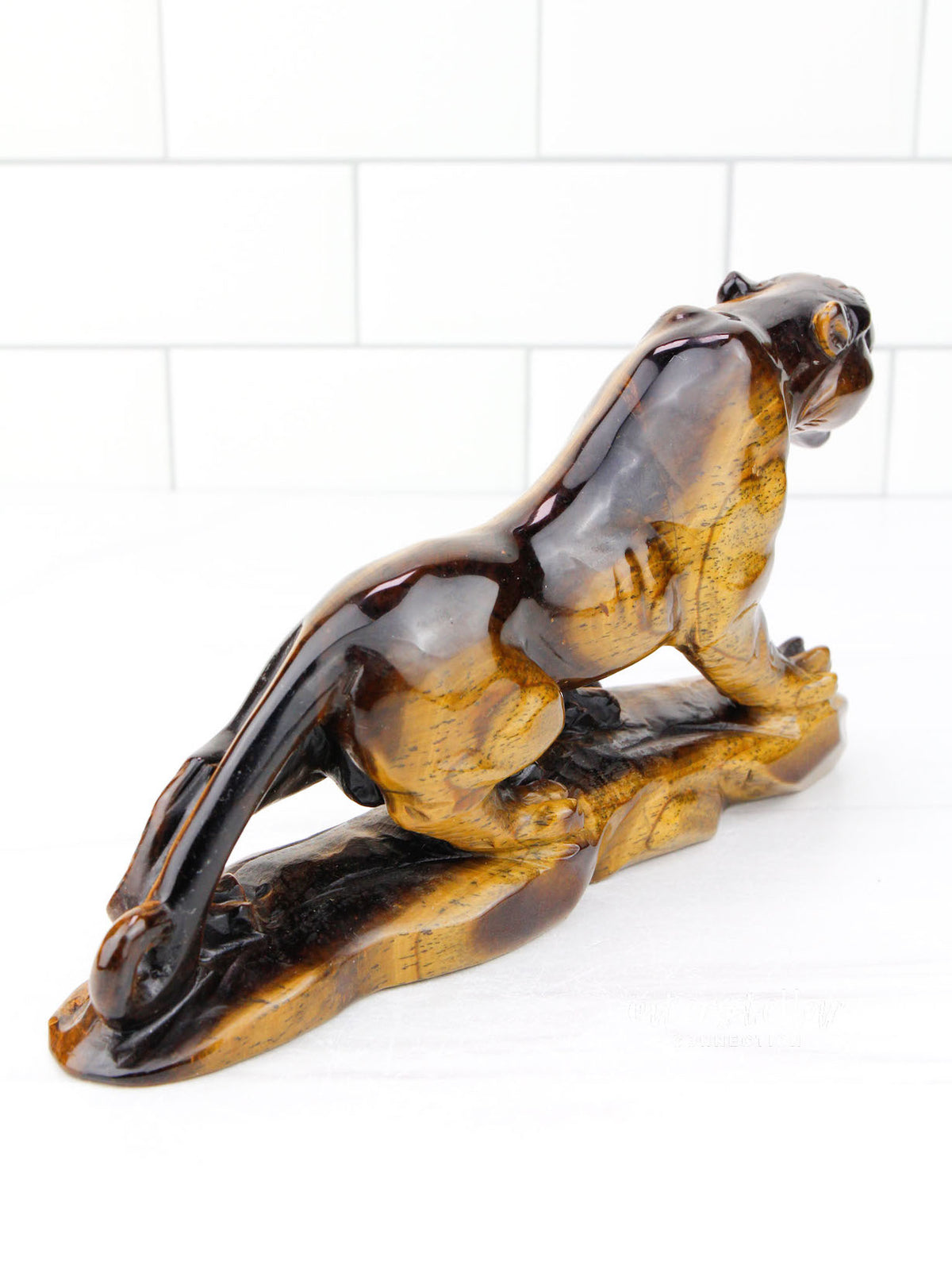 JAGUAR Full Body Tiger's Eye F