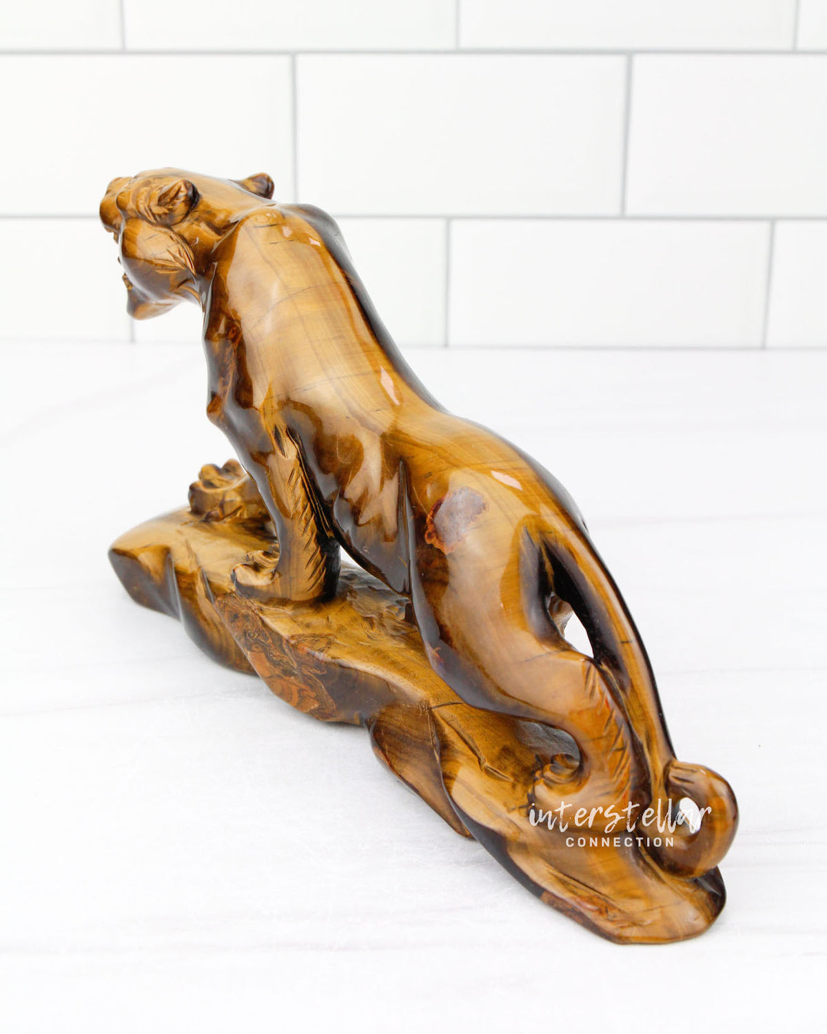 JAGUAR Full Body Tiger's Eye F