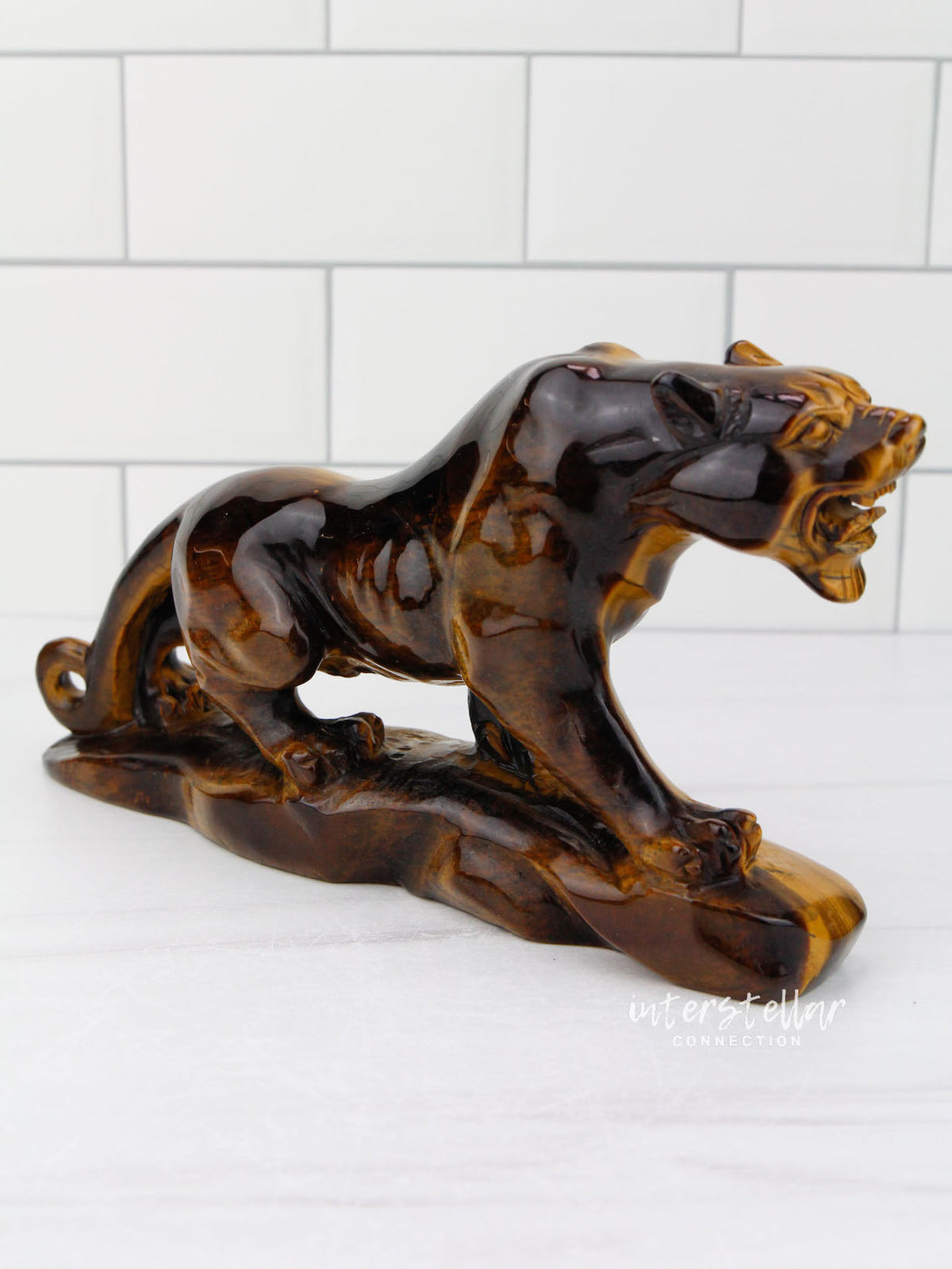 JAGUAR Full Body Tiger's Eye F