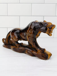 JAGUAR Full Body Tiger's Eye F