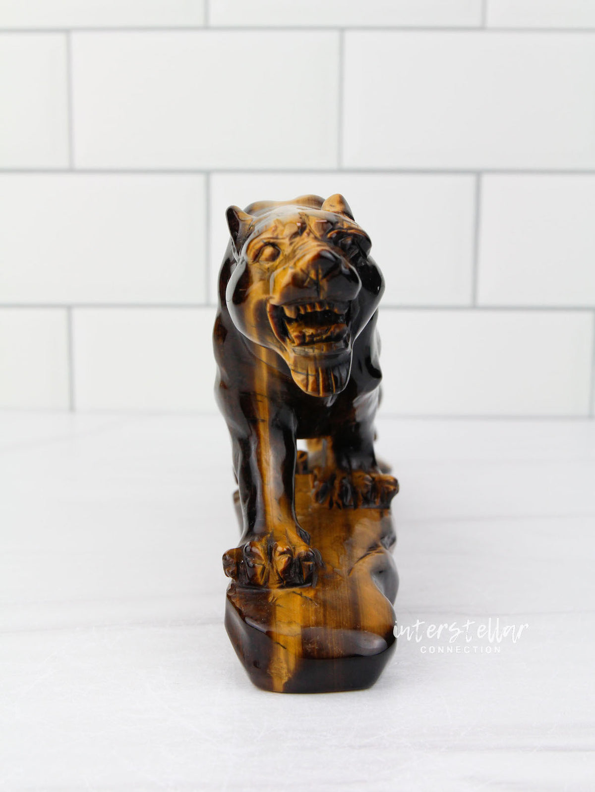 JAGUAR Full Body Tiger's Eye F