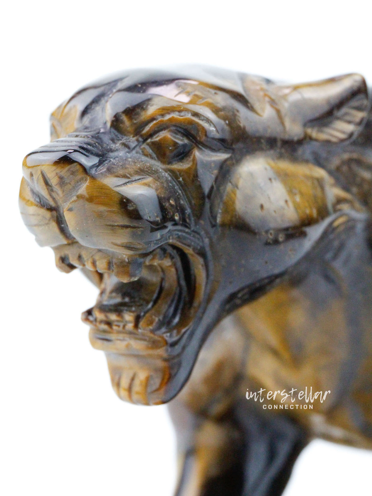 JAGUAR Full Body Tiger's Eye E