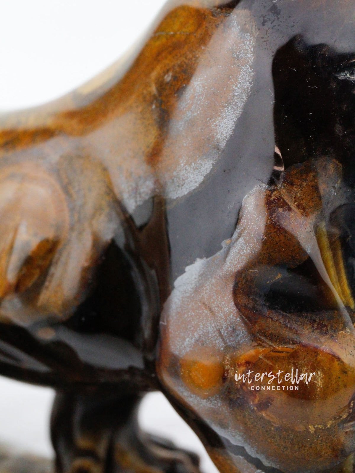 JAGUAR Full Body Tiger's Eye E