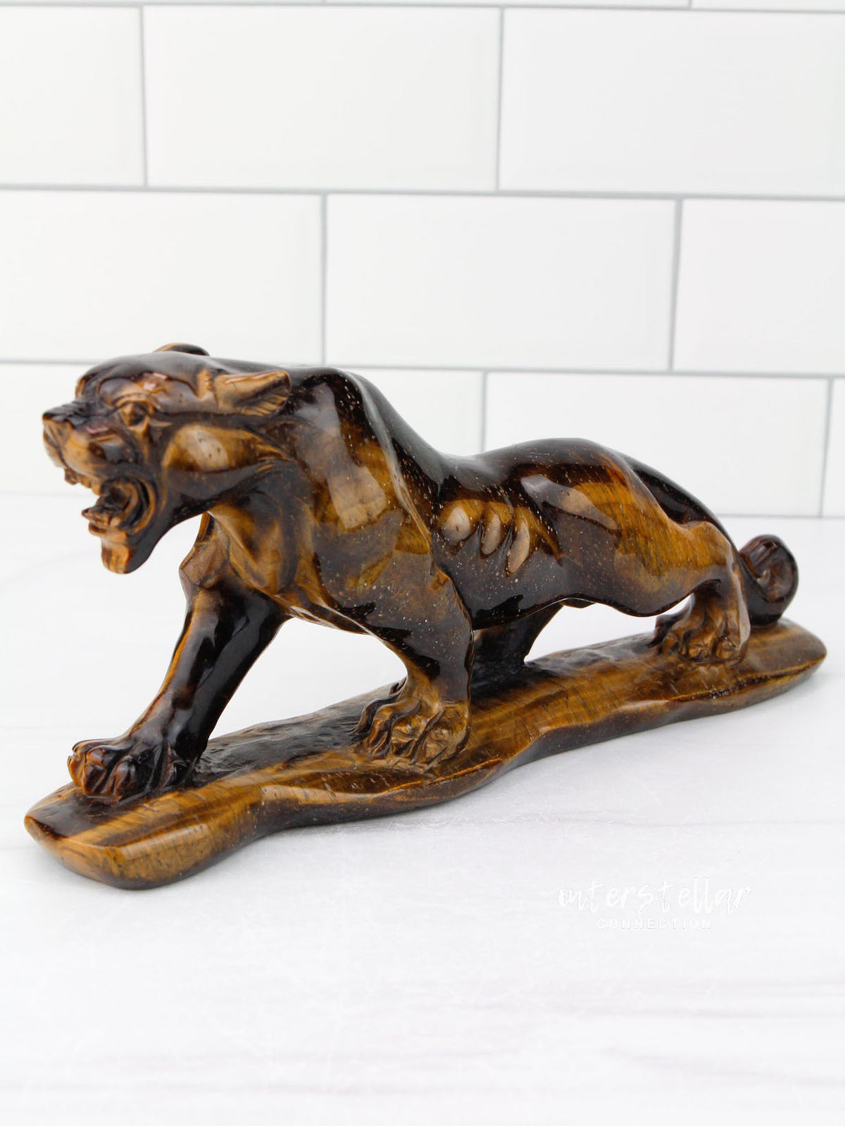 JAGUAR Full Body Tiger's Eye E