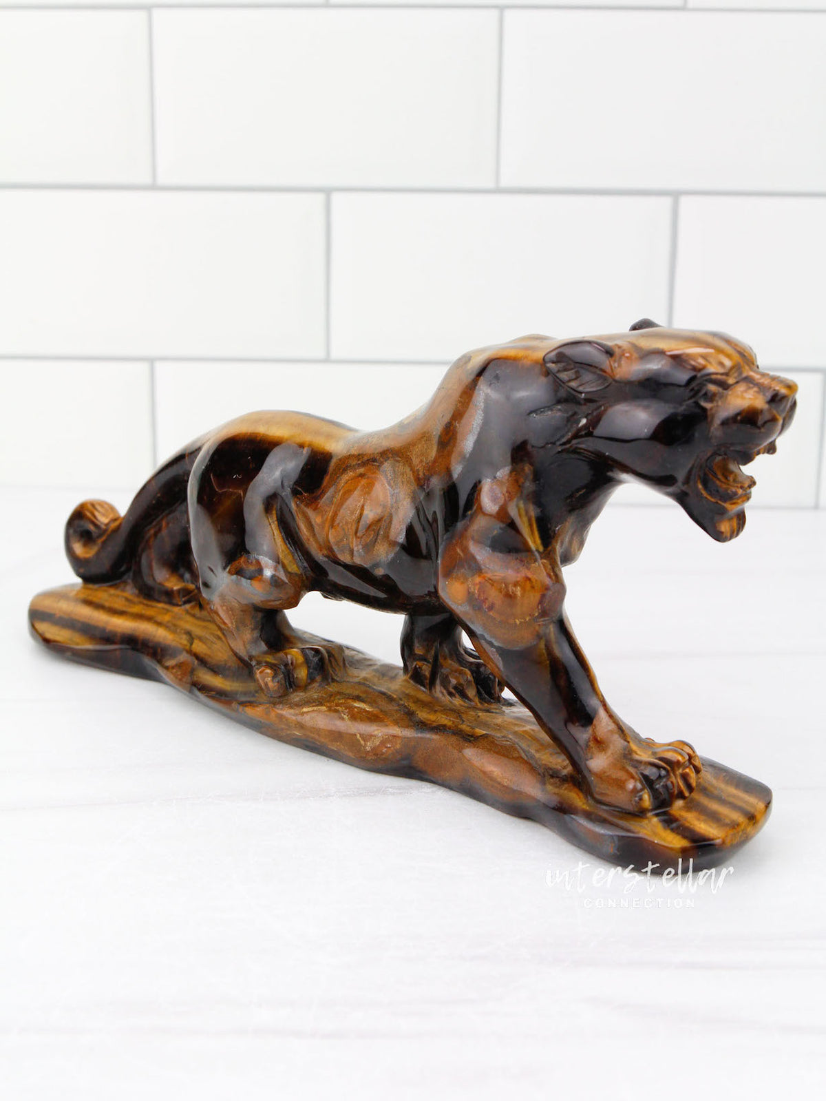 JAGUAR Full Body Tiger's Eye E