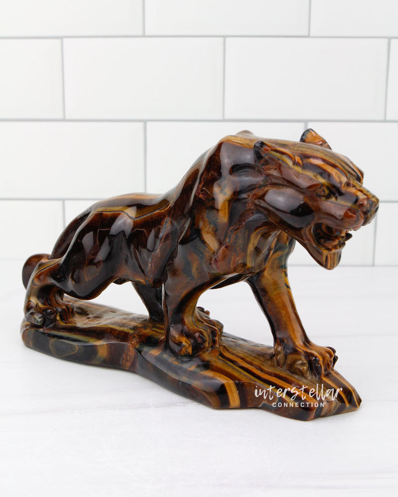 JAGUAR Full Body Tiger's Eye D