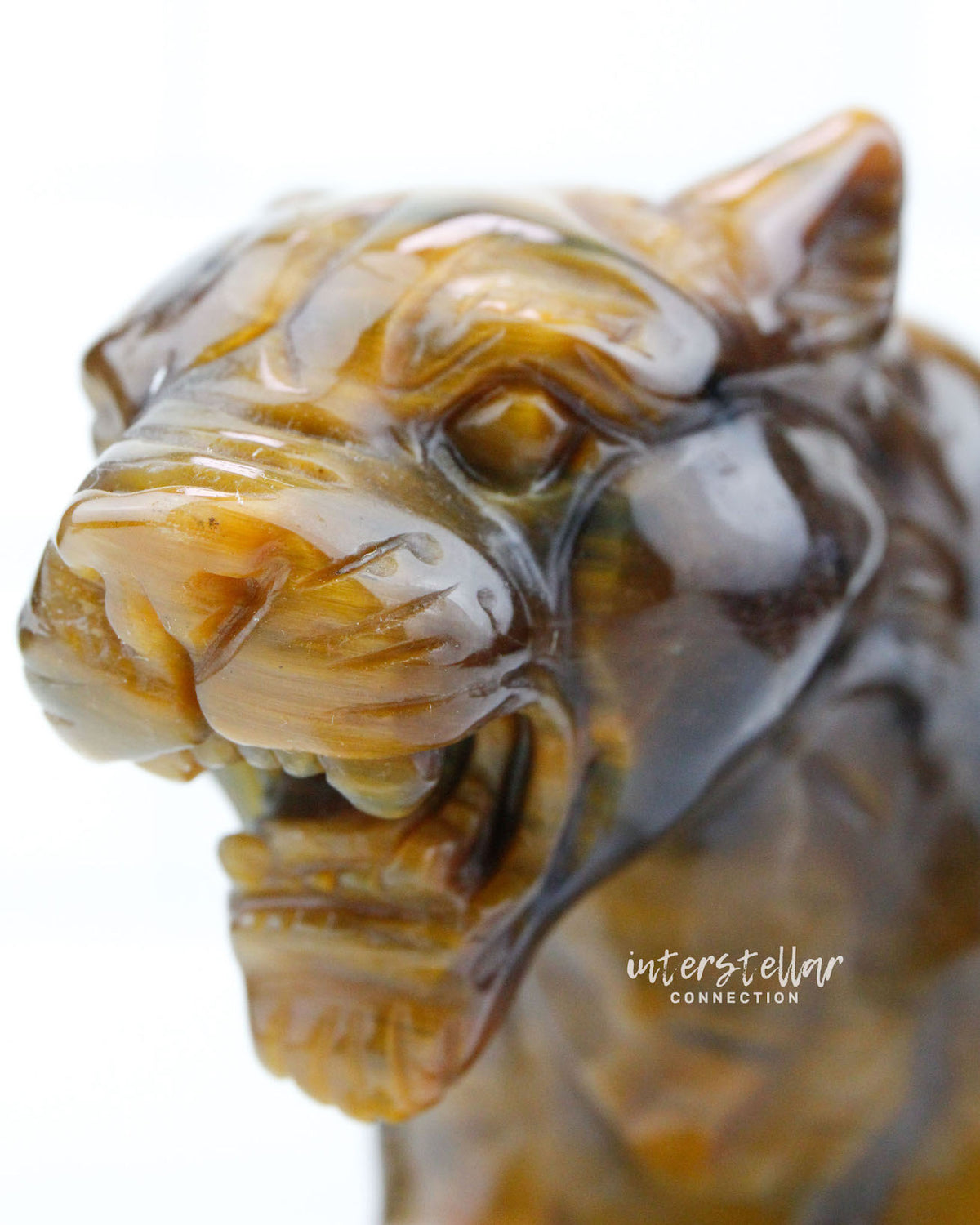 JAGUAR Full Body Tiger's Eye B
