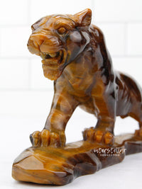 JAGUAR Full Body Tiger's Eye B