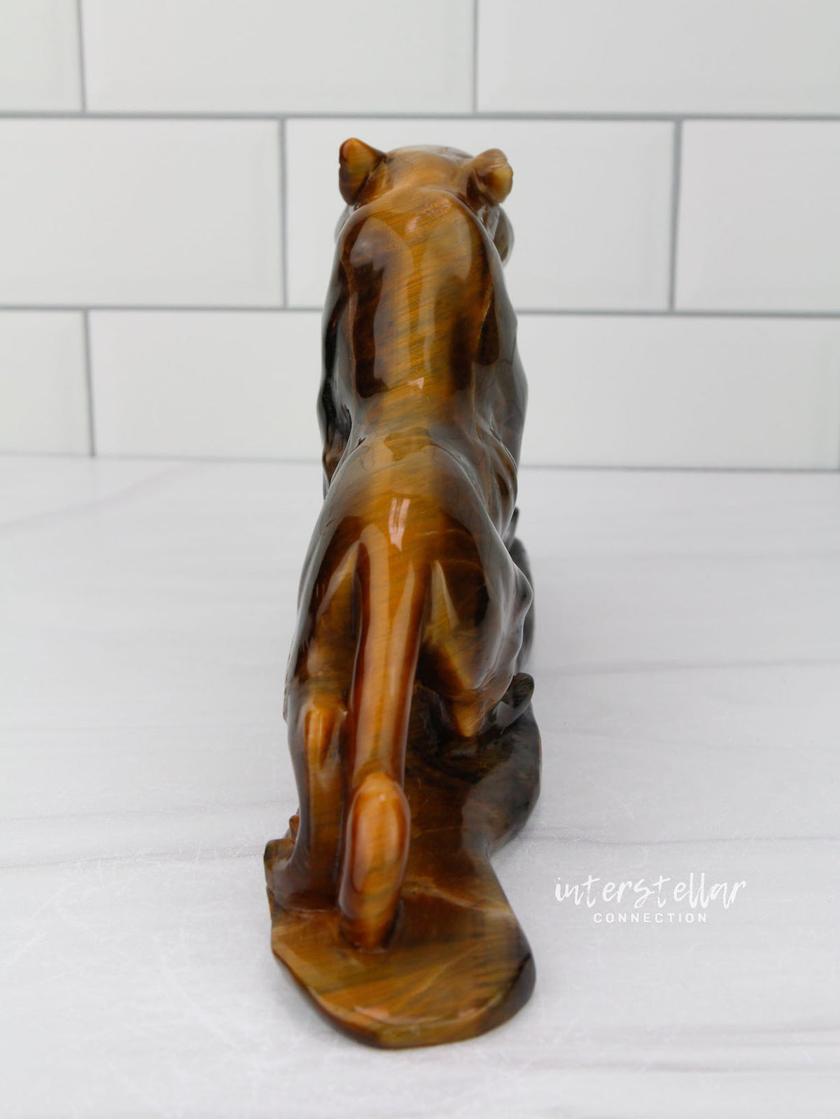 JAGUAR Full Body Tiger's Eye B