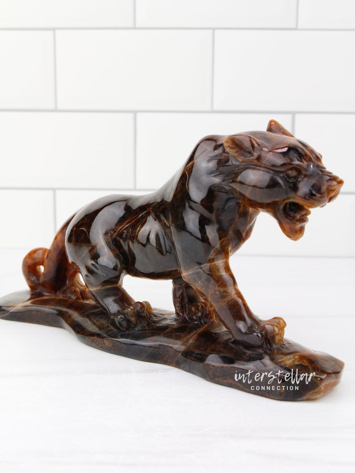 JAGUAR Full Body Tiger's Eye B