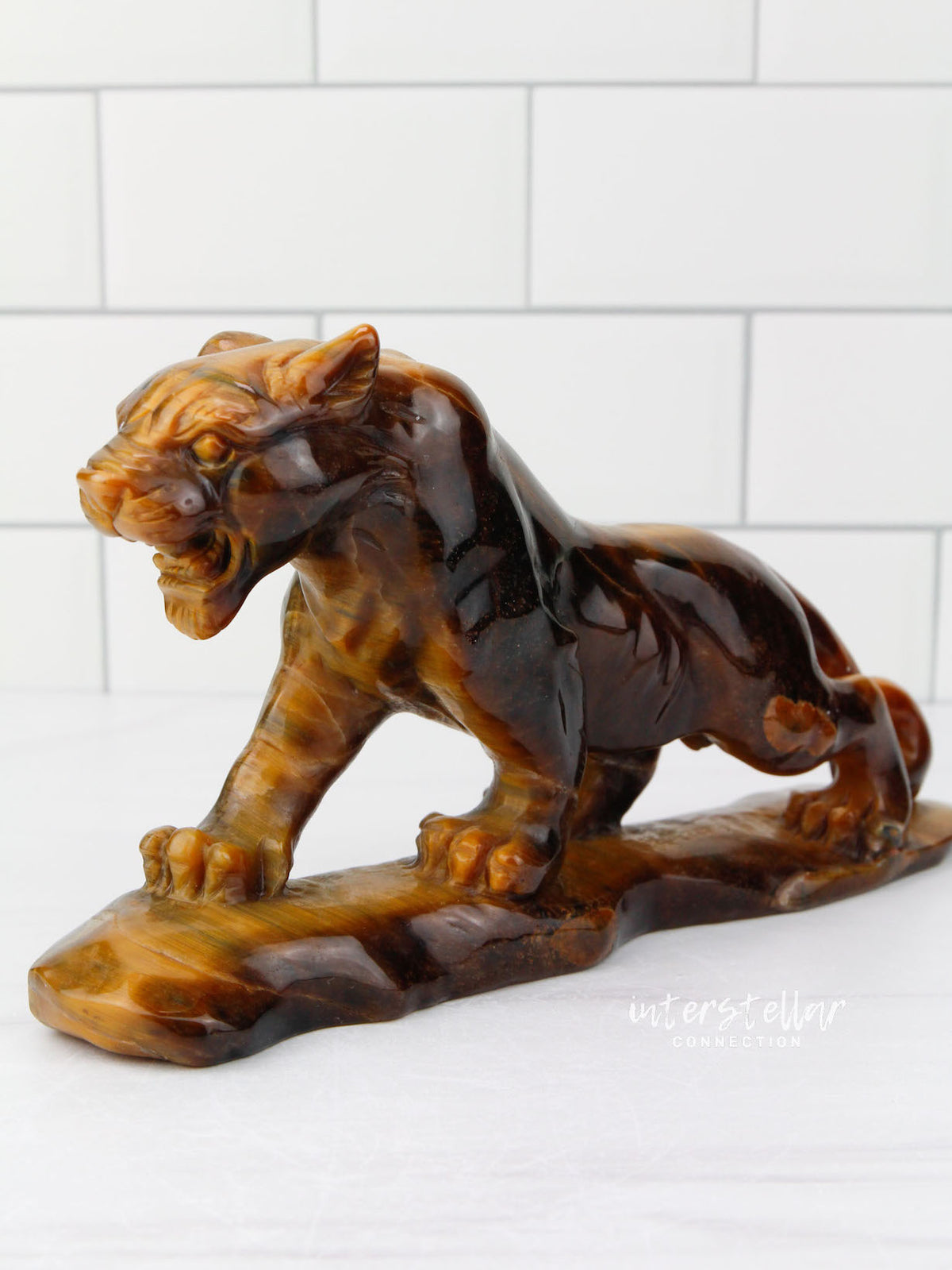 JAGUAR Full Body Tiger's Eye B