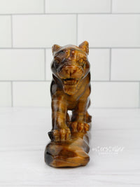 JAGUAR Full Body Tiger's Eye B