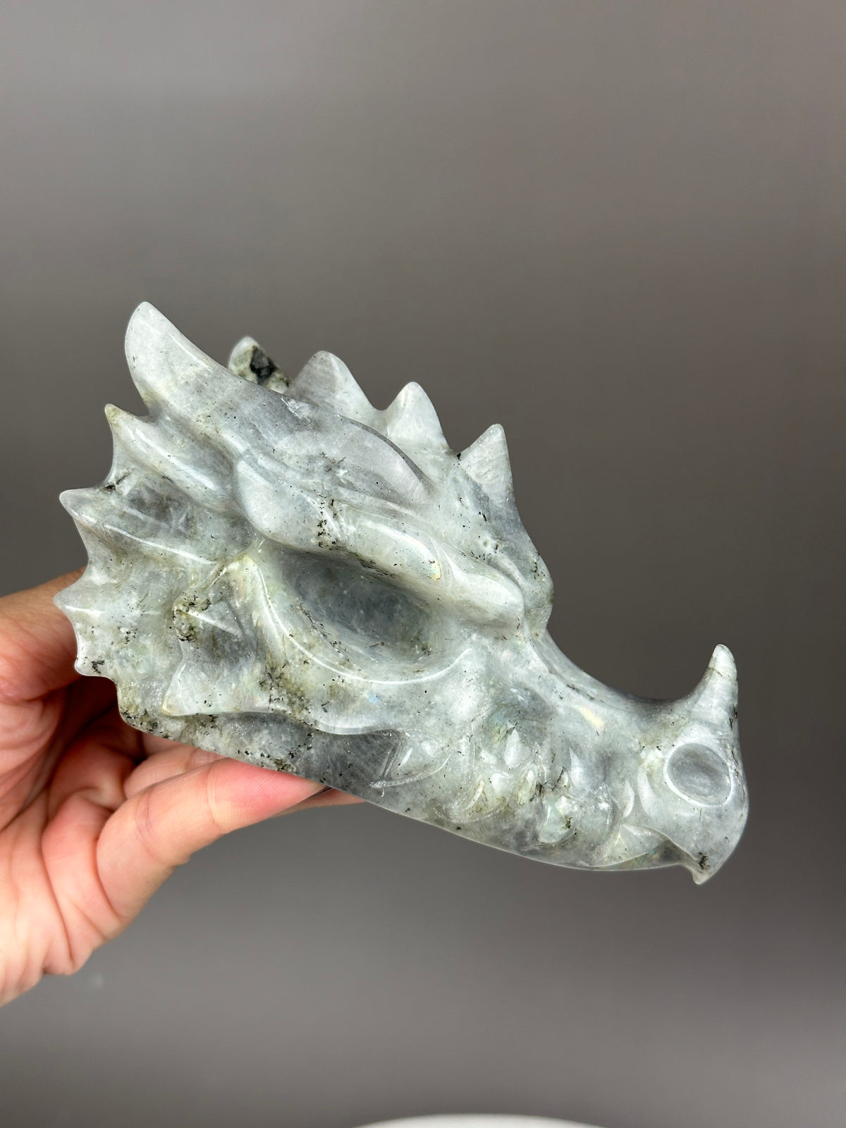 Labradorite 5" Hand-carved Dragon Skull #D4