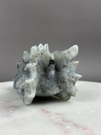 Labradorite 5" Hand-carved Dragon Skull #D4