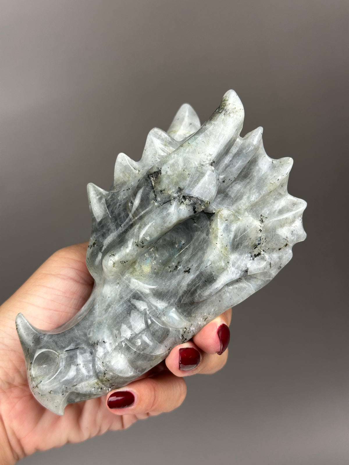 Labradorite 5" Hand-carved Dragon Skull #D4